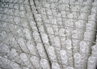 �M������